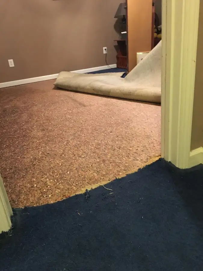 Carpet pad removal revealing water damage during Drying & Dehumidification in Forest Hills