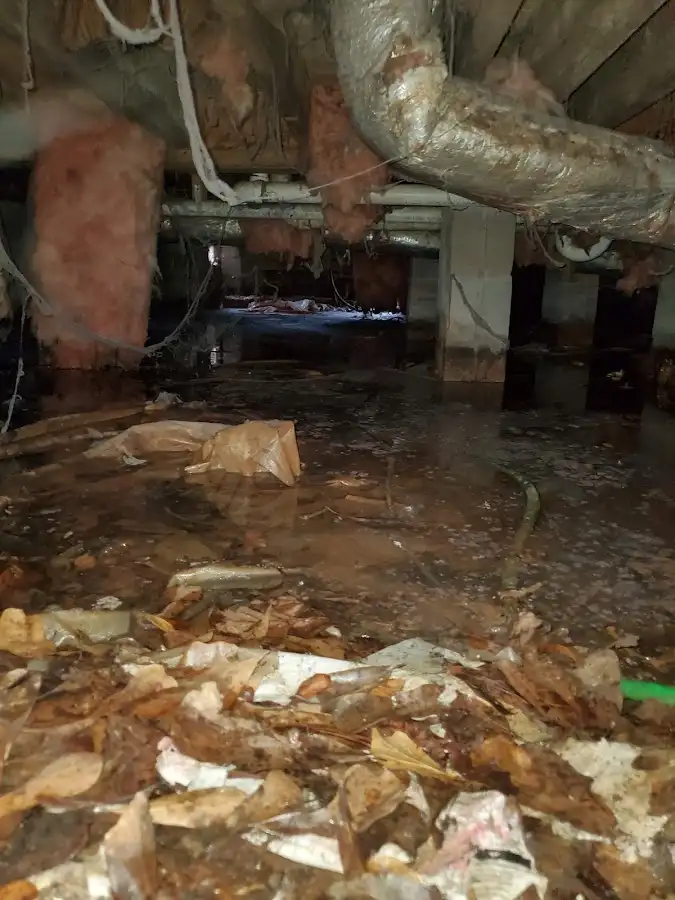 Crawl space flood assessment for Leak Detection & Repair in Forest Hills